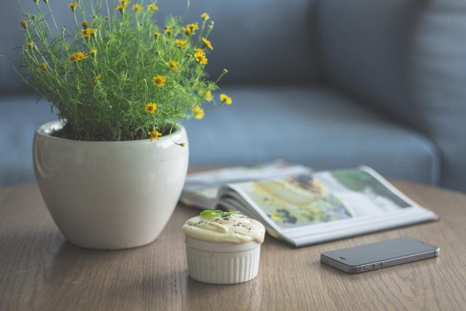 Studio Ceramic Planter