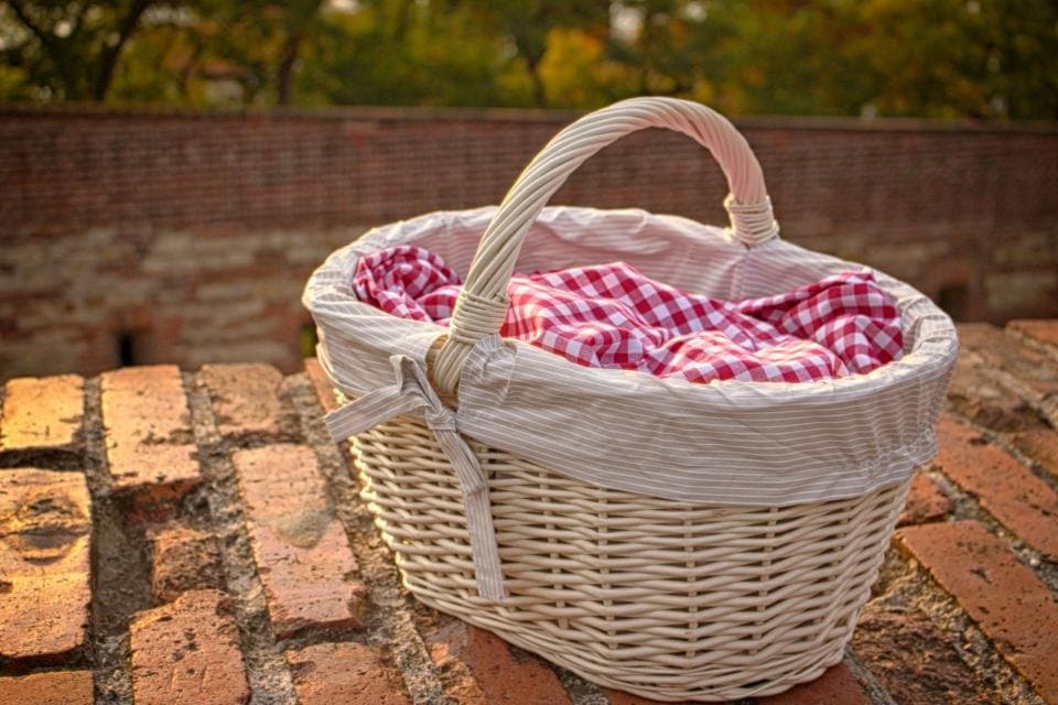 Lined Picnic Basket